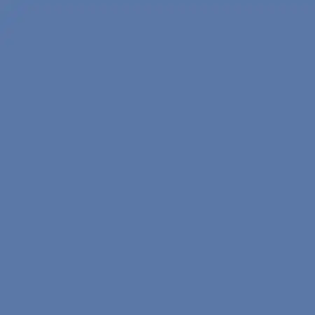 BLAUBEERE